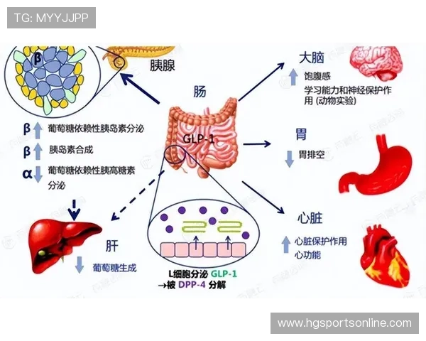 北京市足球联赛全面解析与未来发展趋势深度研究